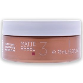 Stylesign Creative Texture Matte Clay by Goldwell for Unisex - 2.5 oz Clay